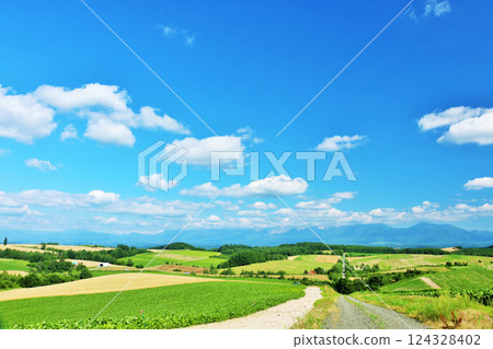 北海道夏天藍天和Biei風景 124328402