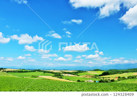 北海道夏天藍天和Biei風景 北海道夏天藍天和Biei風景 124328409