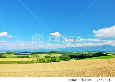 北海道夏天藍天和Biei風景 北海道夏天藍天和Biei風景 124328410