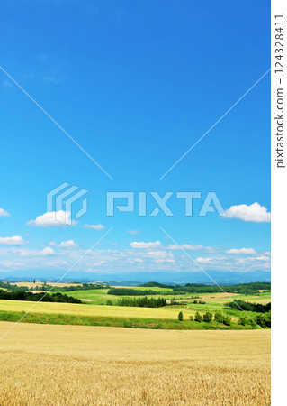 北海道夏天藍天和Biei風景 北海道夏天藍天和Biei風景 124328411