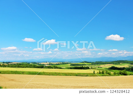 北海道夏天藍天和Biei風景 北海道夏天藍天和Biei風景 124328412