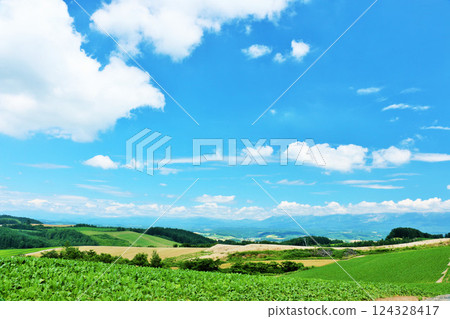 Hokkaido summer blue sky and Biei landscape 124328417