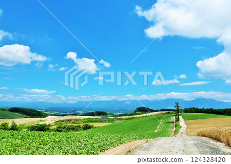Hokkaido summer blue sky and Biei landscape Hokkaido summer blue sky and Biei landscape 124328420