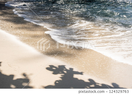 Kopepe Beach, Ogasawara, Tokyo 124329763