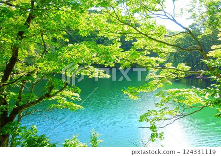多科沼澤藏王鮮綠 124331119