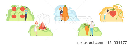 People Characters Harvesting Huge Vegetables and Fruits from Garden Vector Set People Characters Harvesting Huge Vegetables and Fruits from Garden Vector Set 124331177