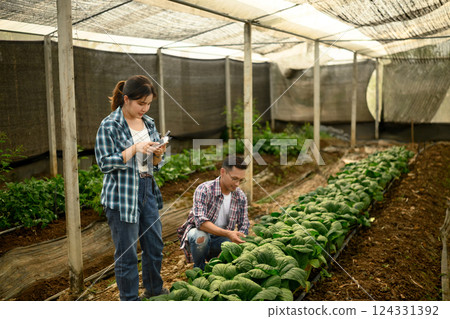 Two farmers working together in a greenhouse, collecting data and observing plant growth 124331392