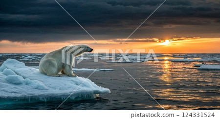 Polar bear sitting on a melting ice floe in a colorful sunset, symbolizing global warming and climate change concept Polar bear sitting on a melting ice floe in a colorful sunset, symbolizing global warming and climate change concept 124331524