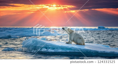 Polar bear sitting on a melting ice floe in a colorful sunset, symbolizing global warming and climate change concept Polar bear sitting on a melting ice floe in a colorful sunset, symbolizing global warming and climate change concept 124331525