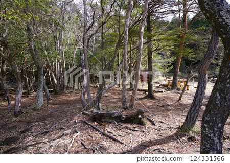 黑田東濕地 124331566