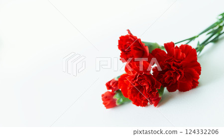 簡單的紅色康乃馨花束背景圖片母親節圖片素材複製空間 124332206