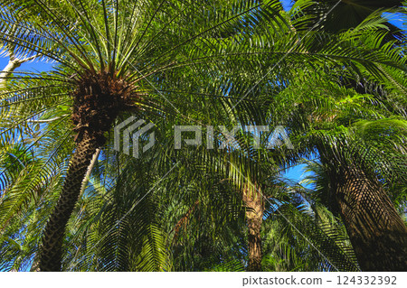 海外旅遊 菲律賓 長灘島 長灘島香格里拉 124332392