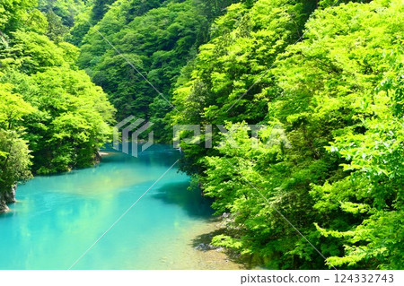 初夏的抱返溪谷。日本秋田縣仙北。五月下旬 初夏的抱返溪谷。日本秋田縣仙北。五月下旬 124332743