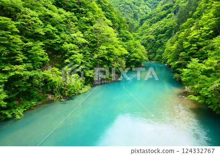Dakigaeri Valley in early summer. Senboku, Akita, Japan. Late May Dakigaeri Valley in early summer. Senboku, Akita, Japan. Late May 124332767
