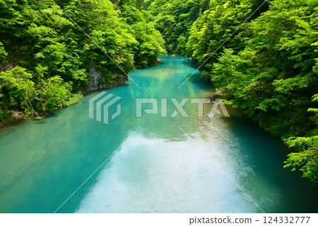 Dakigaeri Valley in early summer. Senboku, Akita, Japan. Late May Dakigaeri Valley in early summer. Senboku, Akita, Japan. Late May 124332777