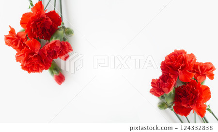 Mother's Day message card image frame, red carnation bouquet, white copy space Mother's Day message card image frame, red carnation bouquet, white copy space 124332838