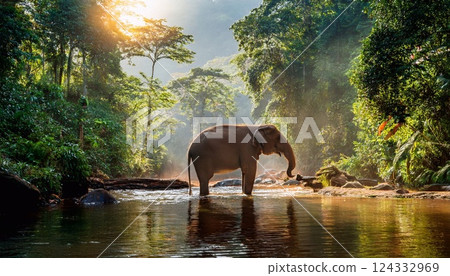 a massive elephant stands at the edge of a crystal-clear river 124332969