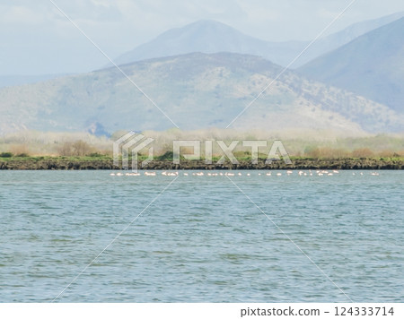 Nature Park Ulcinjske Salane, Montenegro. Nature Park Ulcinjske Salane, Montenegro. 124333714