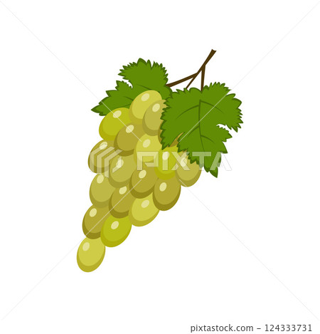 Green currant. Ripe red currant berries with green leaves. A cartoon-style currant. The vector illustration is isolated on a white background Green currant. Ripe red currant berries with green leaves. A cartoon-style currant. The vector illustration is isolated on a white background 124333731