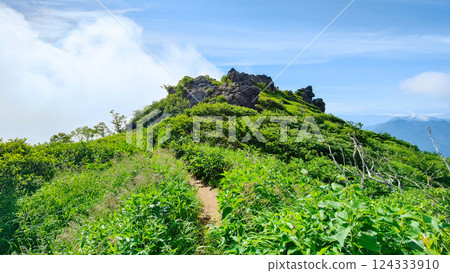 夏季火打、妙高登山（妙高山北峰～南峰） 124333910