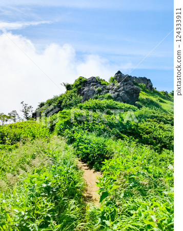 夏季火打、妙高登山（妙高山北峰～南峰） 124333911