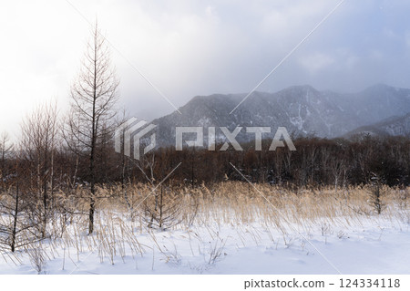 Senjogahara in winter, Nikko City, Tochigi Prefecture 124334118