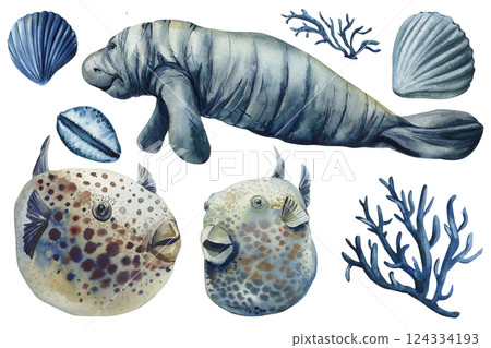 watercolor manatee sea cow marine mammal with shells coral ocean elements underwater wildlife illustration design 124334193