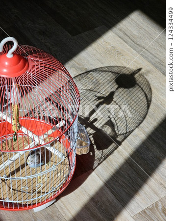A Parrot in a Cage with Its Shadow Cast on the Floor, Creating a Captivating Play of Light and Darkness 124334499