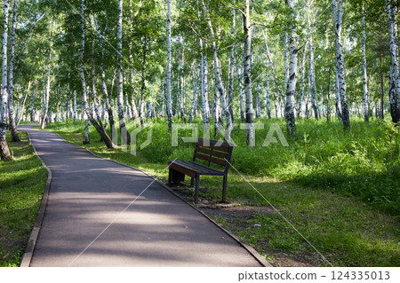 Peaceful park path surrounded by lush green trees and a wooden bench on a sunny day Peaceful park path surrounded by lush green trees and a wooden bench on a sunny day 124335013