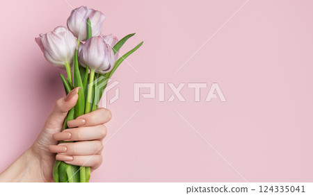 Woman hand holding beautiful pink tulips showing manicure nails on pink background Woman hand holding beautiful pink tulips showing manicure nails on pink background 124335041
