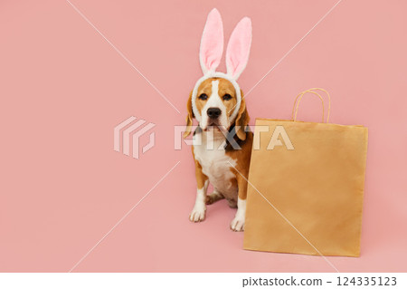 A beagle with large pink bunny ears sits next to a brown shopping bag on a soft pink background 124335123