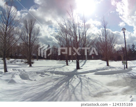 Snow and gentle shade 124335189