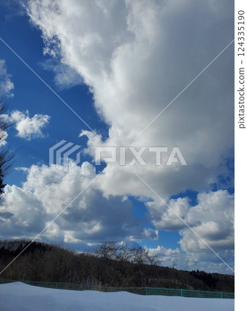 冬日的天空 124335190