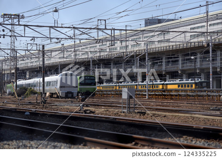 停泊在宮原編組場的列車 停泊在宮原編組場的列車 124335225