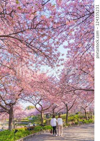 名花村的春天，心形河津櫻花（三重縣桑名市） 124335231