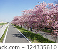 Kawazu cherry blossoms at Yamazaki Park (Fujimi City, Saitama Prefecture) 124335610