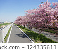 Kawazu cherry blossoms at Yamazaki Park (Fujimi City, Saitama Prefecture) 124335611