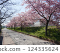Kawazu cherry blossoms at Yamazaki Park (Fujimi City, Saitama Prefecture) 124335624