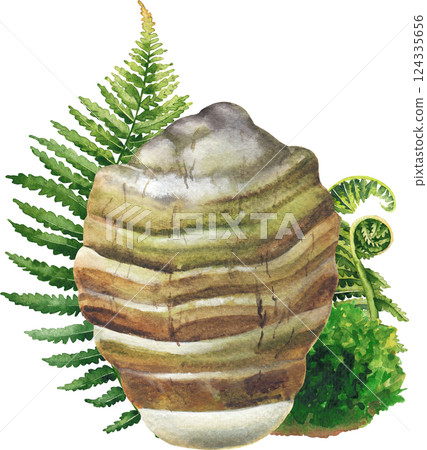 Realistic watercolor Agarikon mushroom decorated with fern leaves and moss Realistic watercolor Agarikon mushroom decorated with fern leaves and moss 124335656