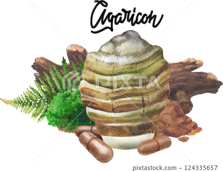 Realistic watercolor Agarikon mushroom surrounded with a log, moss, fern with a pills and powder in front Realistic watercolor Agarikon mushroom surrounded with a log, moss, fern with a pills and powder in front 124335657