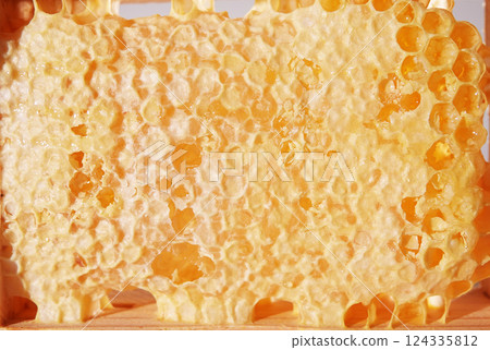 Honey in honeycombs close-up of amber color glowing from within 124335812