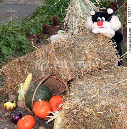 The fair is a Slavic holiday of trading an autumn selection of vegetables and fruits 124335824