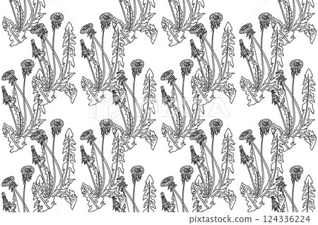 Line art botanical seamless floral pattern with dandelions vector illustration. Black outline repeating plant pattern in white background. Graphic design for Fashion Cover Textile Coloring Page Print 124336224