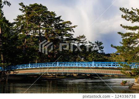 天橋立的御天橋和松林 天橋立的御天橋和松林 124336738