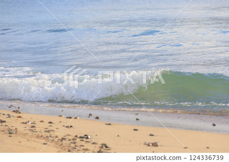 海浪衝擊著天橋立海灘的海岸 海浪衝擊著天橋立海灘的海岸 124336739