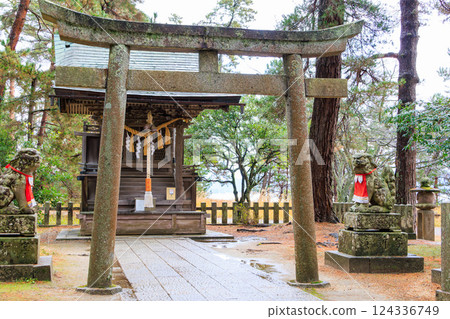 天橋立神社與護衛犬 124336749