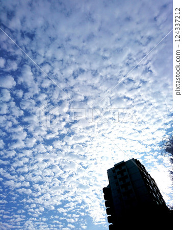公寓大樓和天空景觀 公寓大樓和天空景觀 124337212