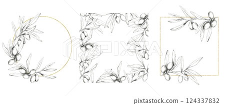 A set of pencil-drawn olive branch frames with circular and square compositions, featuring gold accents. Versatile for Mediterranean food, oils, skincare products and customized merchandise designs 124337832