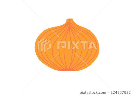 Illustration of onion Illustration of onion 124337922