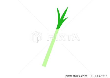 Illustration of green onion Illustration of green onion 124337963